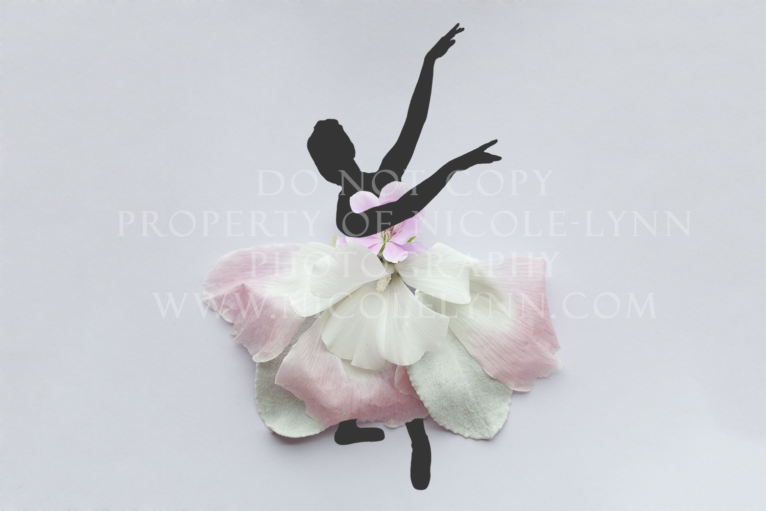 Romantic Ballerina from Floral Dancer Series | Ballerina_1_-_Watermark.jpg