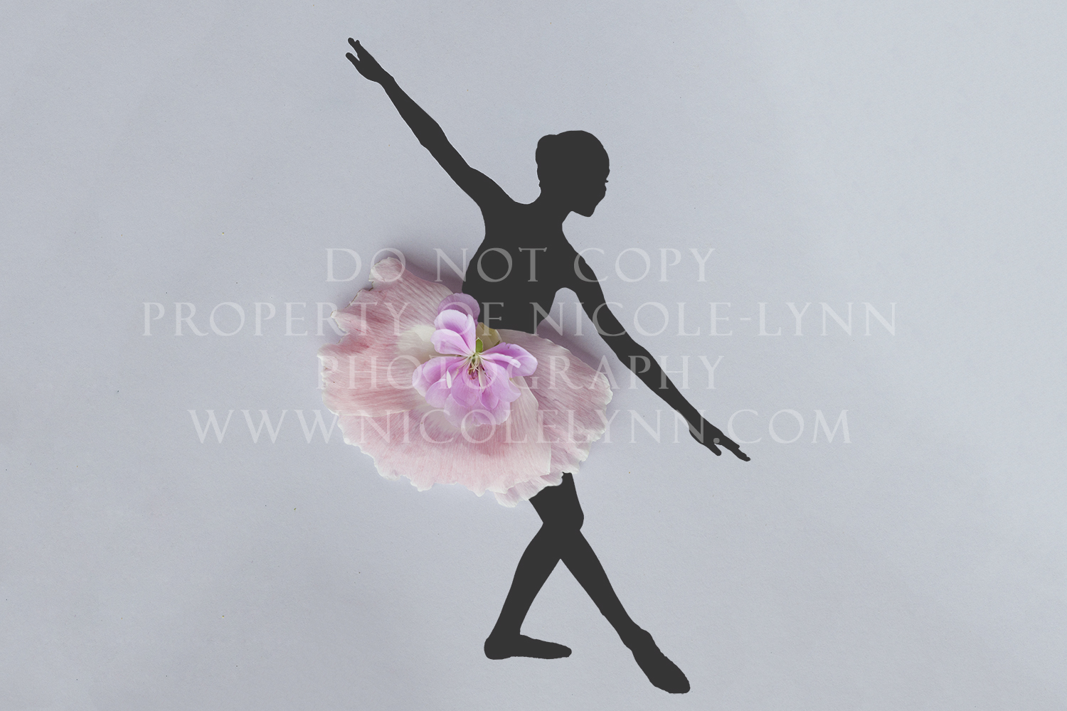 Traditional Ballerina from Floral Dancer Series | Ballerina_3_-_Watermark.jpg