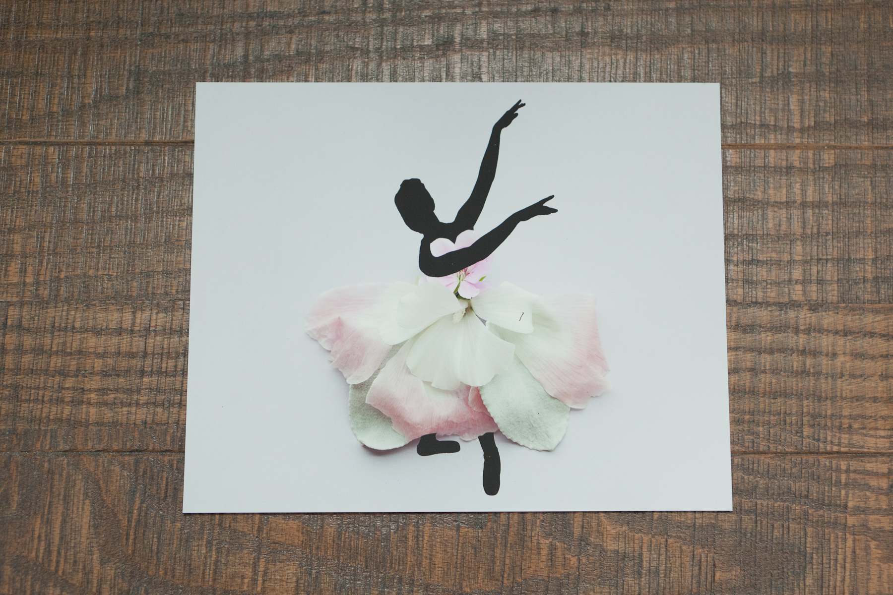 Romantic Ballerina from Floral Dancer Series | IMG_0079.jpg